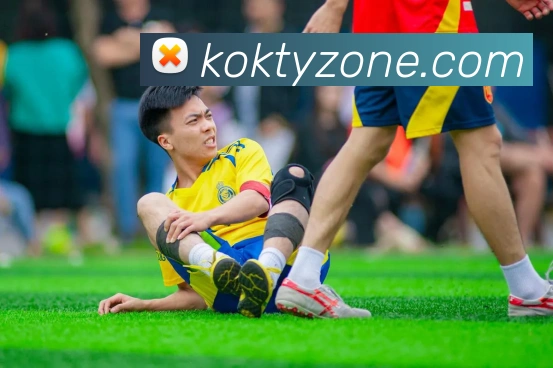 KOK体育APP 封面图